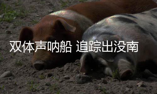 电子侦察船监测水面舰艇