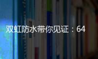 快排公司十年历程，霸屏兔 seo 的崛起与坚守