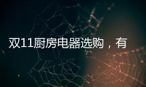 专注于电气化和数字化领域