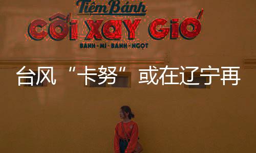 可能以当前热带风暴强度登陆