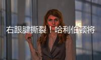 右跟腱撕裂！哈利伯顿将缺席2025