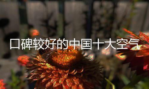 是较好净化行业领导品牌