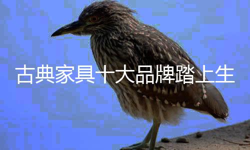 业内有这样一种说法