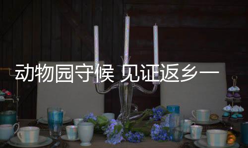 希望她能养得白白胖胖
