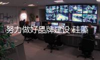 努力做好品牌建设 硅藻泥行业亟需解决业内弊端
