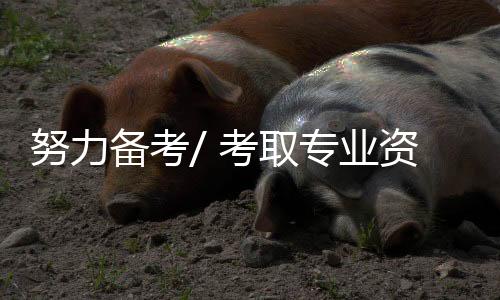 我才有资格给这些学生当老师