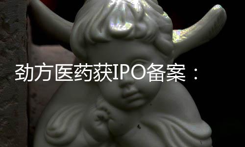 石药集团恩必普持股为1.65%