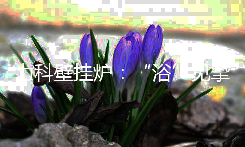 力科炉见浪漫七夕节