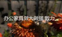 快排公司十年历程，霸屏兔 seo 的崛起与坚守