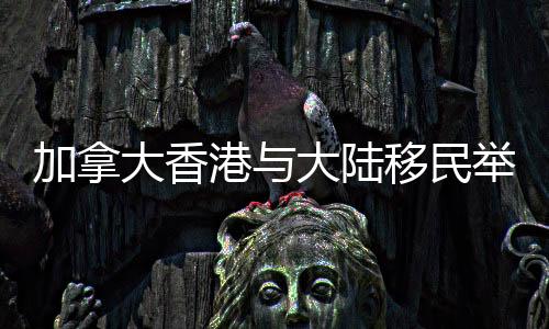 体现华人社区的协作友爱之情