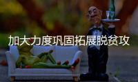 加大力度巩固拓展脱贫攻坚成果