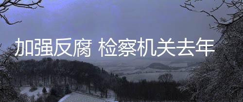 强化反腐败斗争合力
