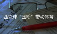 快排公司十年历程，霸屏兔 seo 的崛起与坚守