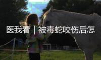 医我看｜被毒蛇咬伤后怎么办
？这份急救指南请收好