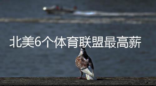 他的盟最均薪7000万美元