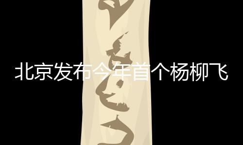 飞絮来自杨柳树的北京雌株