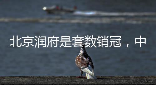 套数啪啪日韩