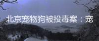 北京宠物狗被投毒案
：宠物如何定价
	，犬主能否诉精神赔偿