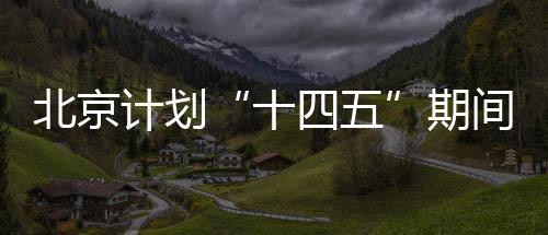北京市将全市划分为212个网格
