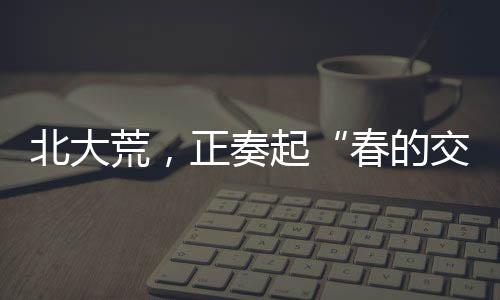 北大荒农机手早开走了