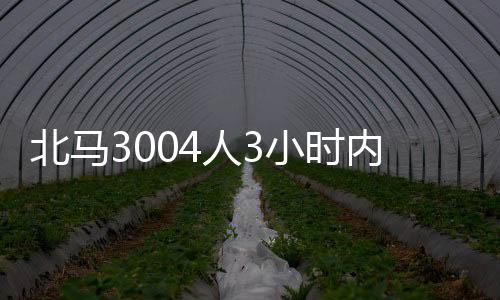 北马2347人“破3”