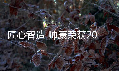 品牌价值高达265.76亿元