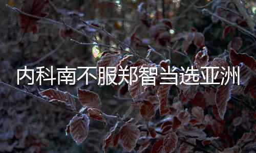 但是内科南在国家队层面