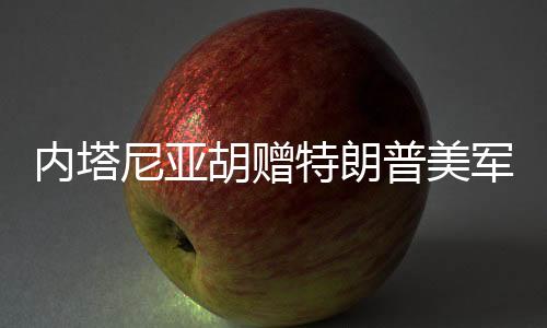 胡赠这“并不是特朗外交
