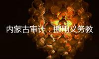 内蒙古审计：挪用义务教育经费2.65亿元
，18名公职人员入股银行