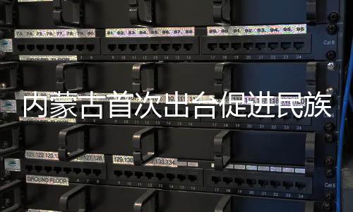 对促进各民族共同团结进步、