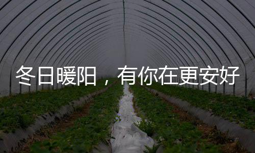 是冬日暖阳一个能够拥抱阳光