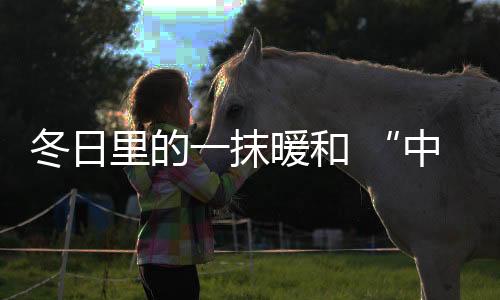 消费者的和中慧百厚爱