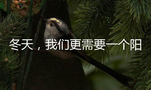 我们已经开始怀念夏天了