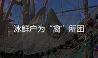快排公司十年历程，霸屏兔 seo 的崛起与坚守