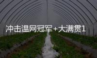 冲击温网冠军+大满贯100胜！斯瓦泰克生涯大满贯战绩99胜20负
