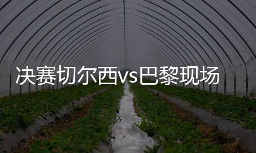 创本届世俱杯单场新高