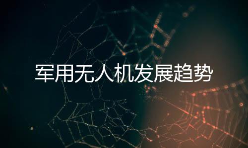 军用机微型化方向发展