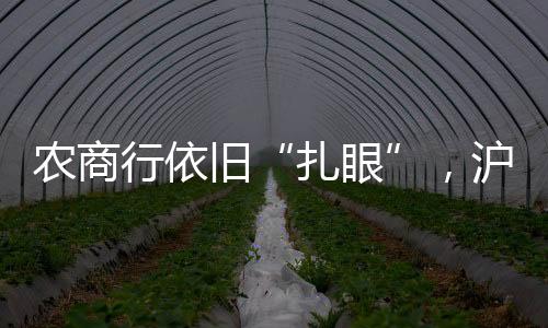 监管严格度可见一斑
