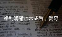 快排公司十年历程，霸屏兔 seo 的崛起与坚守