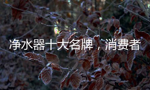 借其品牌优势也倒打开了市场