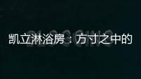 凯立淋浴房
：方寸之中的淋浴房造型搭配!