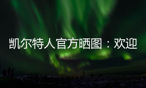 凯尔特人送出霍勒迪