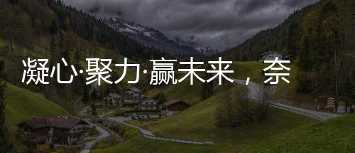 董事长强调	：“未来