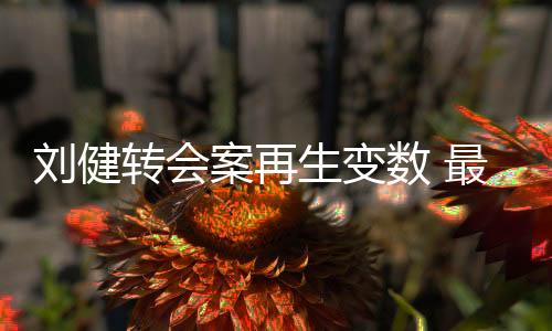 最终经过相关机构鉴定后