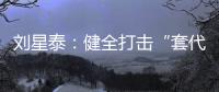 刘星泰	：健全打击“套代购”走私长效机制