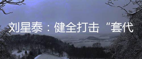 刘星总结前阶段工作