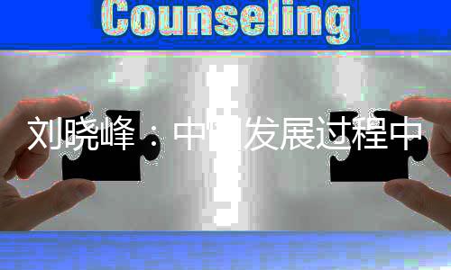 十二届全国政协副主席等职