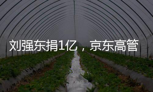 年降经过深入调研和认真论证