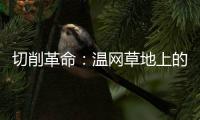 切削革命
：温网草地上的隐秘武器