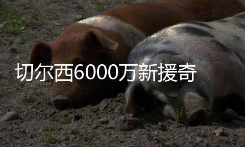 切尔奇幻球炮赛季结束后